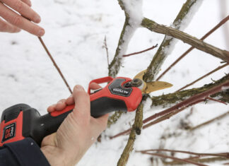 Cięcie borówki sektorami ALTUNA. FILM