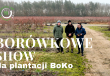 Zapowiada się naprawdę Borówkowe SHOW!