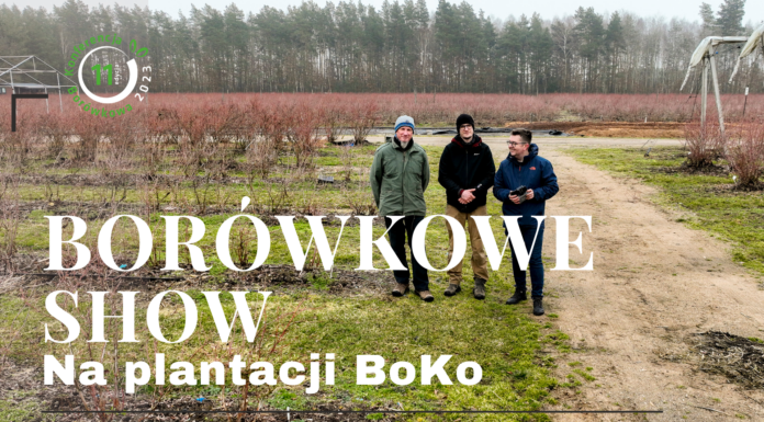 Zapowiada się naprawdę Borówkowe SHOW!