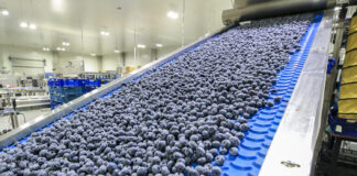 Czy borówka pójdzie w ślady jabłek?