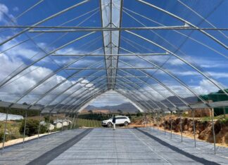 Wyzwania stawiane uprawom w tunelach