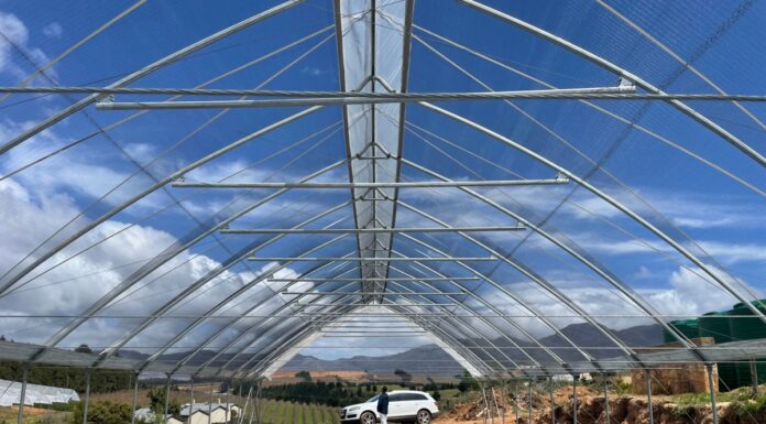 Wyzwania stawiane uprawom w tunelach