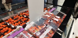 Automatyczne systemy do pakowania owoców jagodowych