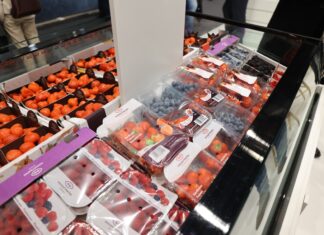 Automatyczne systemy do pakowania owoców jagodowych