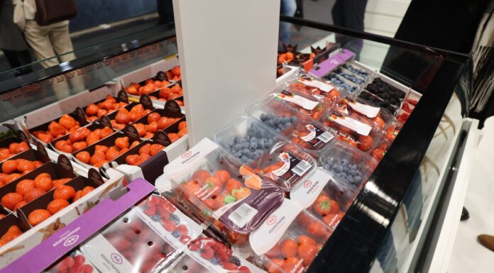 Automatyczne systemy do pakowania owoców jagodowych