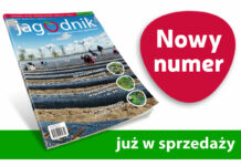 Jagodnik 3/2023 już w sprzedaży
