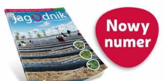 Jagodnik 3/2023 już w sprzedaży