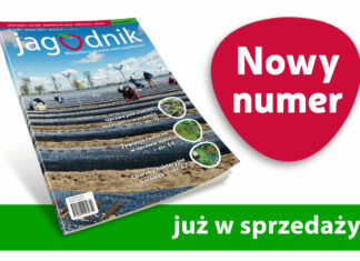 Jagodnik 3/2023 już w sprzedaży