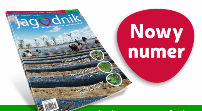 Jagodnik 3/2023 już w sprzedaży