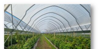 Tunelowe Inspiracje 2025 – szkolenie Tunele do uprawy malin