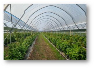 Tunelowe Inspiracje 2025 – szkolenie Tunele do uprawy malin