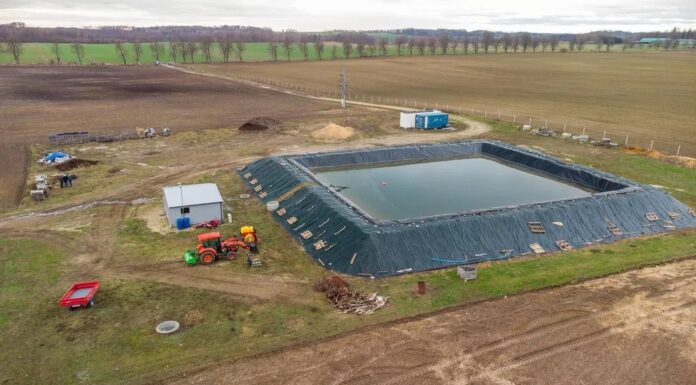 Gospodarstwo rolne o powierzchni 50 ha – sprzedam. 7 ha plantacja borówki amerykańskiej. Województwo zachodniopomorskie