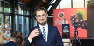 Sadzonki aronii – co warto o nich wiedzieć?