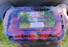 Żeby polskie były z Polski!