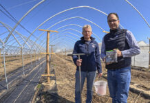Pobieranie próbek gleby na plantacjach malin