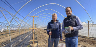 Pobieranie próbek gleby na plantacjach malin
