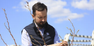 Nawożenie w borówce czas zacząć