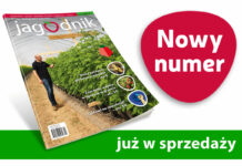 Jagodnik 4/2023 już w sprzedaży