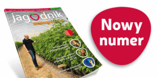 Jagodnik 4/2023 już w sprzedaży