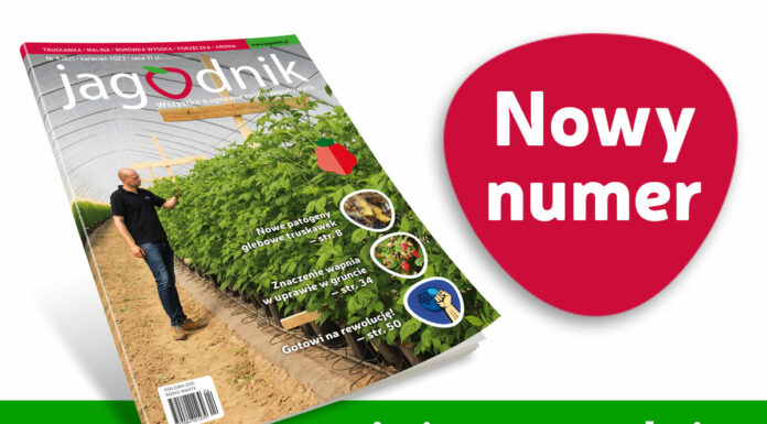 Jagodnik 4/2023 już w sprzedaży