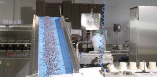 Rozwiązania usprawniające przygotowanie borówek do sprzedaży