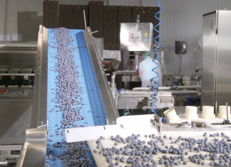 Rozwiązania usprawniające przygotowanie borówek do sprzedaży