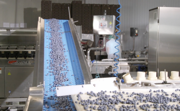 Rozwiązania usprawniające przygotowanie borówek do sprzedaży