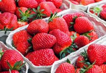Truskawka coraz tańsza. Malina krajowa wchodzi na rynek. CENY z 30.05.2023.