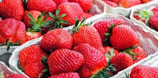 Truskawka coraz tańsza. Malina krajowa wchodzi na rynek. CENY z 30.05.2023.