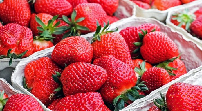 Truskawka coraz tańsza. Malina krajowa wchodzi na rynek. CENY z 30.05.2023.