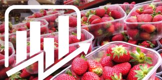 CENY TRUSKAWEK – notowania z dn. 23.05.2023