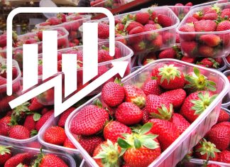 CENY TRUSKAWEK – notowania z dn. 23.05.2023