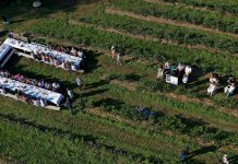 Plantatorzy borówek spotkają się 2 czerwca