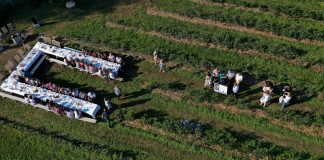 Plantatorzy borówek spotkają się 2 czerwca