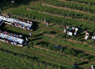 Plantatorzy borówek spotkają się 2 czerwca