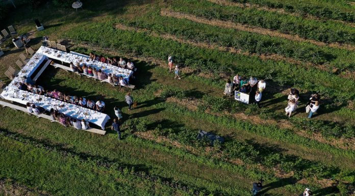 Plantatorzy borówek spotkają się 2 czerwca