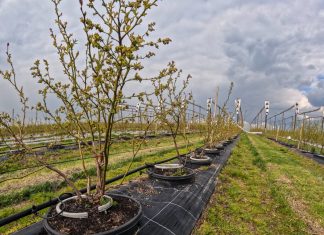 Równomierne podawanie wody jest niezwykle ważne