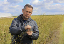 Zwalczanie szarej pleśni w okresie kwitnienia borówki