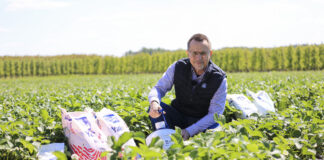 Nawożenie truskawek w czasie kwitnienia. Sezon 2023