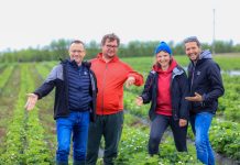 Największa kolekcja odmian truskawek w warunkach produkcyjnych. To trzeba zobaczyć!