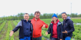 Największa kolekcja odmian truskawek w warunkach produkcyjnych. To trzeba zobaczyć!