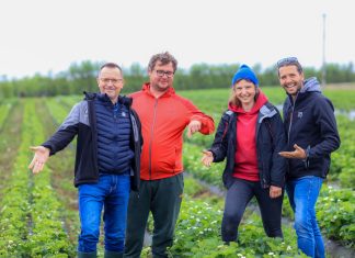 Największa kolekcja odmian truskawek w warunkach produkcyjnych. To trzeba zobaczyć!