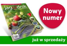 Jagodnik 5/2023 już w sprzedaży