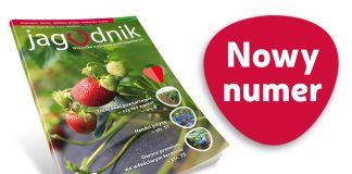 Jagodnik 5/2023 już w sprzedaży