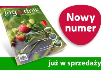 Jagodnik 5/2023 już w sprzedaży