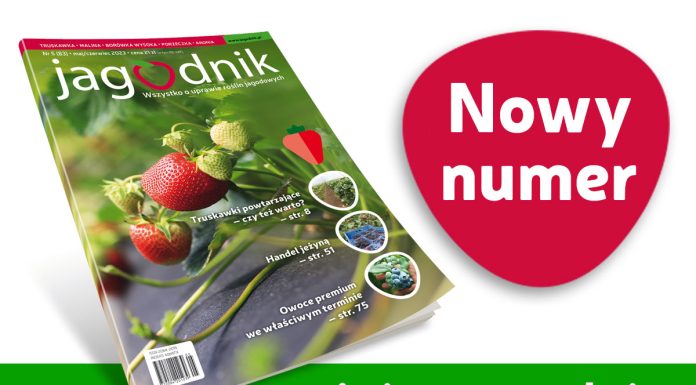 Jagodnik 5/2023 już w sprzedaży
