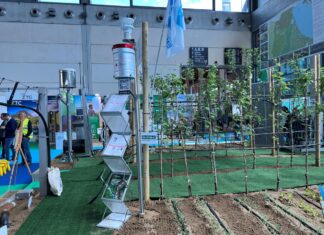 Macfrut 2023 – szeroki wachlarz konferencji, bogata wystawa