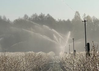 Uwaga na spadki temperatur!