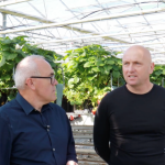 SPOSÓB NA SUKCES W UPRAWIE TRUSKAWEK POD OSŁONAMI