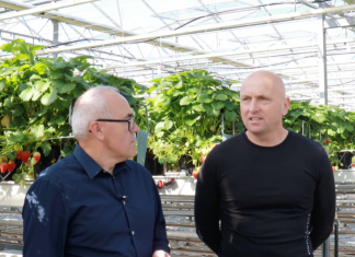 SPOSÓB NA SUKCES W UPRAWIE TRUSKAWEK POD OSŁONAMI